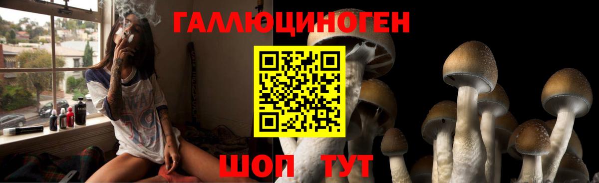 Ревда  Псилоцибиновые грибы MAGIC MUSHROOMS  Вход с VPN 